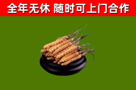循化县烟酒回收冬虫夏草.jpg